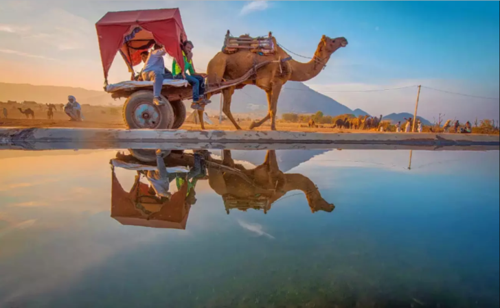 Top 5 Pushkar Attractions You Must See