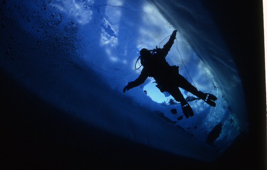 Ice diving and the northern lights attract visitors to the North Pole